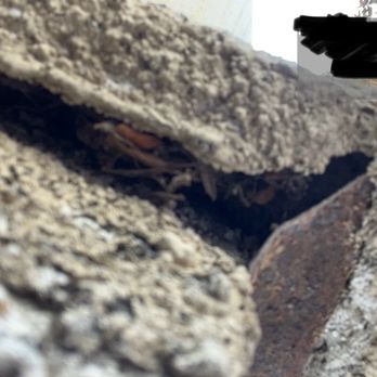 360 Rodent Control - stucco exterior hole that was never sealed discovered by another vendor - Pest Control Near Me