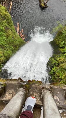 Multnomah Falls by null