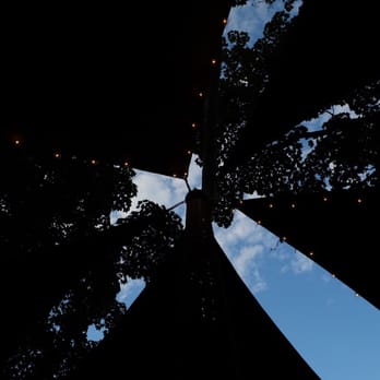 Behind The Bookstore - Looking up during dinner - Coffee & Tea Near Me - Edgartown, Massachusetts