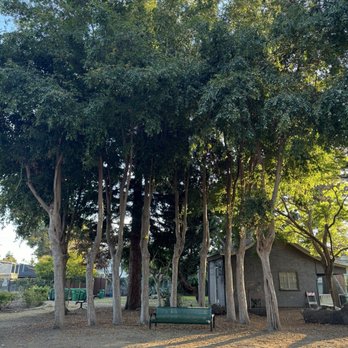 Lincoln Park - Parks Near Me - Alameda, California Lincoln Park - Parks Near Me - Alameda, California