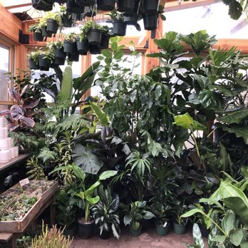 Pistils Nursery - Nurseries & Gardening Near Me - Portland, Oregon Pistils Nursery - Nurseries & Gardening Near Me - Portland, Oregon