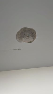 Nationwide Plumbing Logo