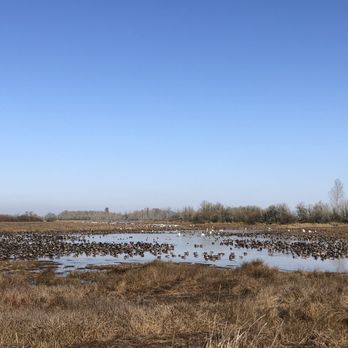 William L. Finley Wildlife Refuge - Parks Near Me - Monroe, Oregon William L. Finley Wildlife Refuge - Parks Near Me - Monroe, Oregon