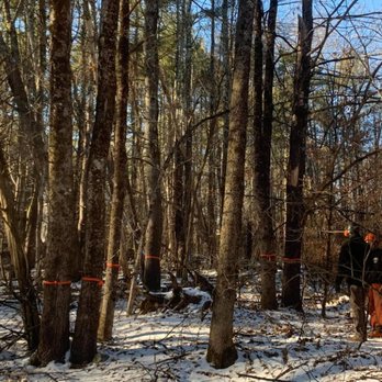 Phil’s Tree Service Seacoast - Tree Services Near Me - Lee, New Hampshire
