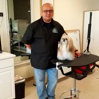 Bubbles and Brushes For Paws Grooming Salon - Pet Groomers Near Me - Oak Park, Illinois Bubbles and Brushes For Paws Grooming Salon - Pet Groomers Near Me - Oak Park, Illinois