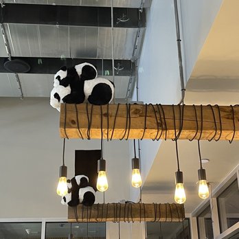 Taichi Bubble Tea - More Pandas on ceiling ;-) - Ramen Near Me - New Haven, Connecticut