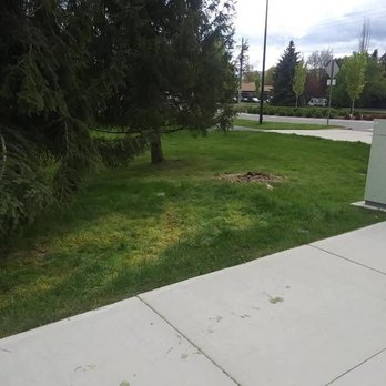 Curtis Point Tree Service - Tree Services Near Me Curtis Point Tree Service - Tree Services Near Me