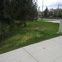 Photo of Curtis Point Tree Service
