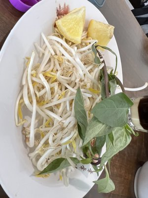Trang Restaurant West End by null