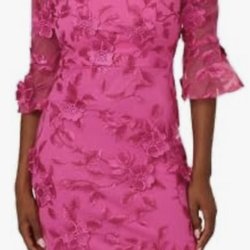 AYG Boutique - This is an Adrianna Papell Embroidered Off-The-Shoulder Bell-Sleeve Dress in hot pink.