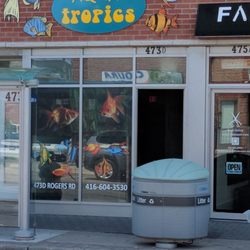 Aqua Tropics - New store front at Rogers Rd.