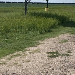 Garden City RV Park - Weeds 2 feet high!