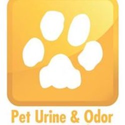 Bay Breeze Chem-Dry - The BEST in Pet Urine Removal