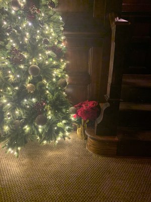 The GeorgeTown Club by null