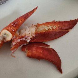 Lobster Anywhere