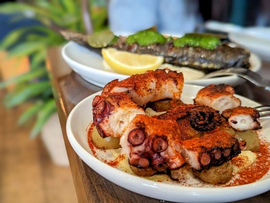 Bocado Restaurant by null