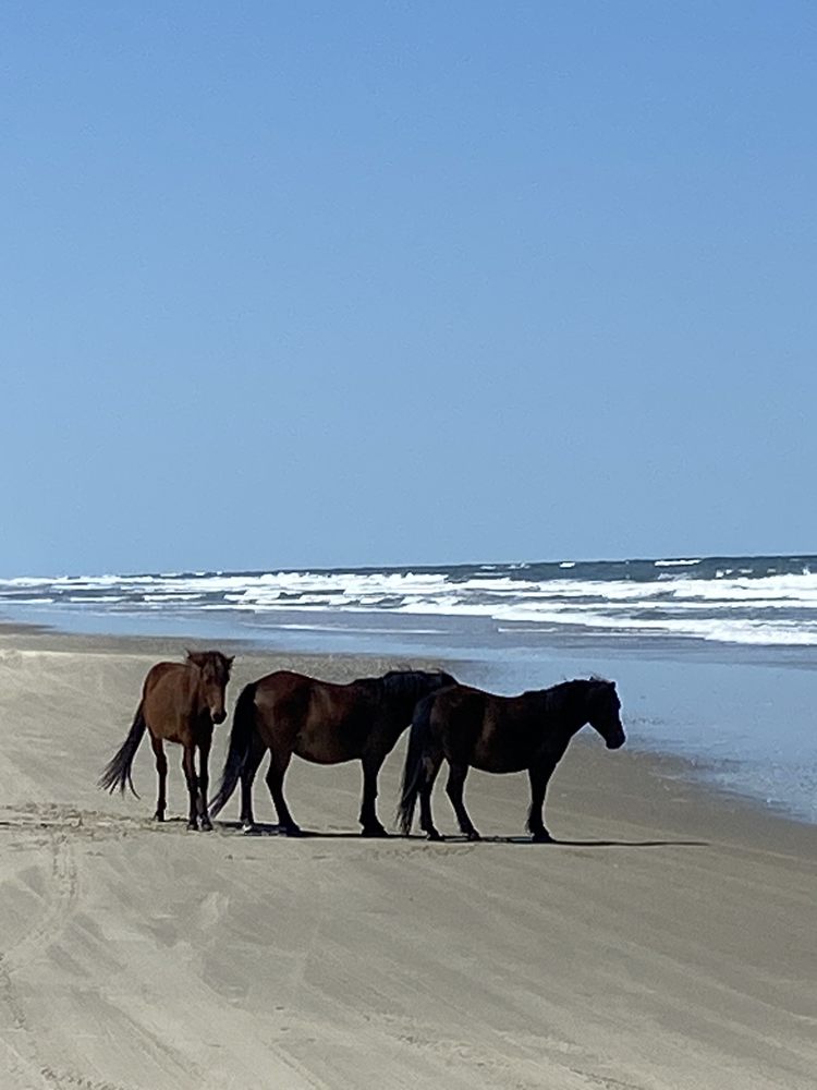 OBX Beach Access