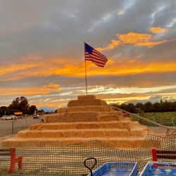 Country Pumpkins