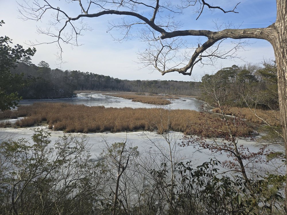 Bush Mill Preserve Trail Logo