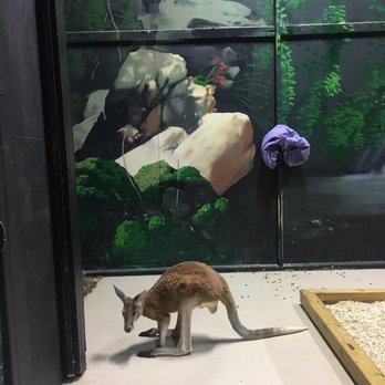 Austin Aquarium - Aquariums Near Me - Austin, Texas