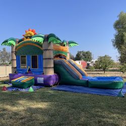 Horsetown Jumper Rentals - Tropical bounce house with water slide attachment.