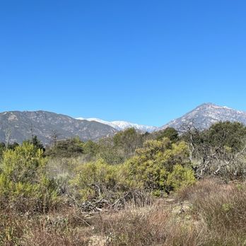 California Botanic Garden - Sun with snow on the horizon - Botanical Gardens Near Me - Claremont, California