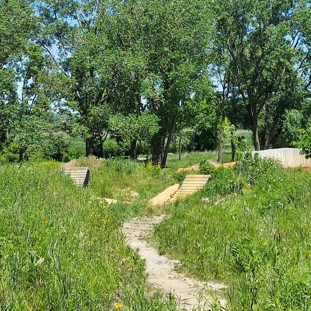 BIG MARSH Updated August 2024 34 Photos 11599 S Stony Island Ave