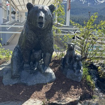 DIPAC/Macaulay Salmon Hatchery - Tours Near Me - Juneau, Alaska DIPAC/Macaulay Salmon Hatchery - Tours Near Me - Juneau, Alaska