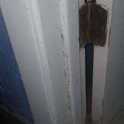 Regency Inn - Mold on the doors