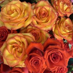 Harrison Flower Mart
