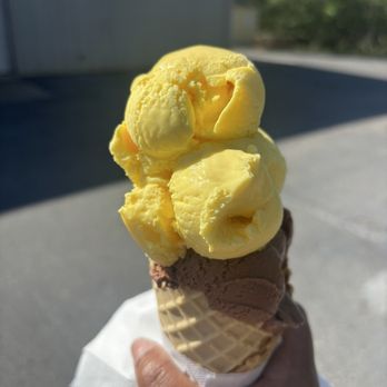 Cammie’s Old Dutch Ice Cream - lemon custard and chocolate - Ice Cream & Frozen Yogurt Near Me - Mobile, Alabama Cammie’s Old Dutch Ice Cream - lemon custard and chocolate - Ice Cream & Frozen Yogurt Near Me - Mobile, Alabama
