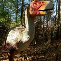 Dinosaurier-Park