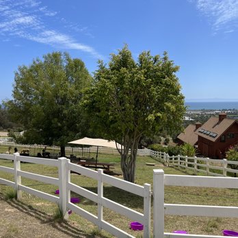 Canzelle Alpacas - Amazing property - Farms Near Me - Carpinteria, California