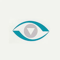 The Vision Professionals - The Vision Professionals