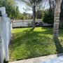 Lush Landscaping