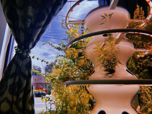 Emma's Torch Café by null