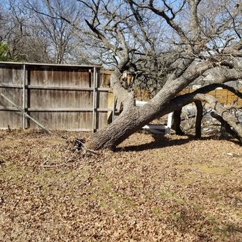 Acorn Tree Services - The 2 before pics of a huge Post Oak Tree that was down in Southlake. They did exactly what I wanted!  Thanks again! - Tree Services Near Me