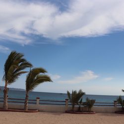 Las Palmas