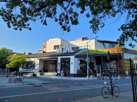 VITAL Climbing Gym - Brooklyn by null