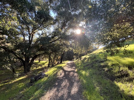 Hans Christian Andersen Park by null