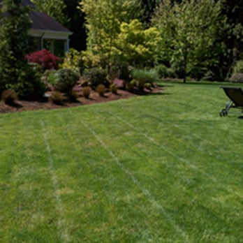 Pacheco Landscape Maintenance - a lawn with lawn chairs - Landscaping Near Me - Hillsboro, Oregon Pacheco Landscape Maintenance - a lawn with lawn chairs - Landscaping Near Me - Hillsboro, Oregon