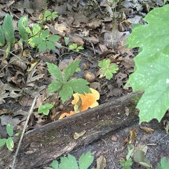 Starved Rock State Park - Parks Near Me - Utica, Illinois