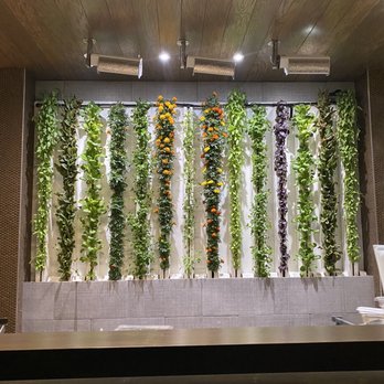 Modita - Inside - Sushi Bars Near Me - Indianapolis, Indiana