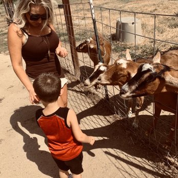 GoatHouse Brewing Co - We got to feed the goats - Breweries Near Me - Lincoln, California GoatHouse Brewing Co - We got to feed the goats - Breweries Near Me - Lincoln, California