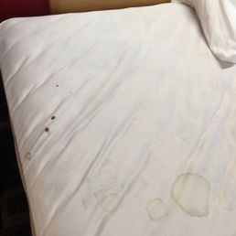 Terrible place. Very dirty, owner only cares about money. Save your money. Terrible place. Very dirty, owner only cares about money. Save your money.