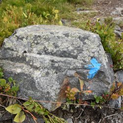 Fjellenden