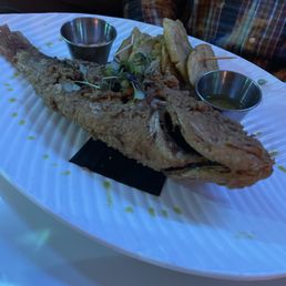 Red Snapper