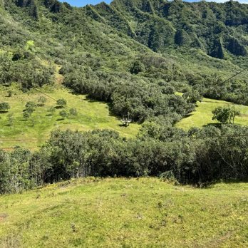 Kualoa Ranch - Tours Near Me - Kaneohe, Hawaii Kualoa Ranch - Tours Near Me - Kaneohe, Hawaii