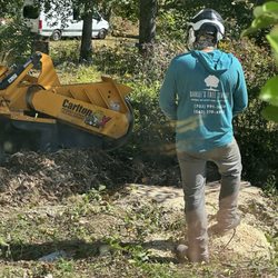 Daniel’s Tree Service - Remote stump grinder