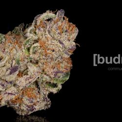 Budmates Delivery